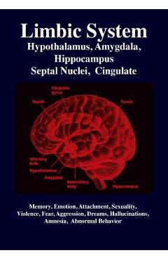 Limbic System: Amygdala, Hypothalamus, Septal Nuclei, Cingulate, Hippocampus: Emotion, Memory, Language, Development, Evolution, Love - R. Gabriel Joseph