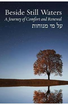 Beside Still Waters: A Journey of Comfort and Renewal - Rachel Barenblat