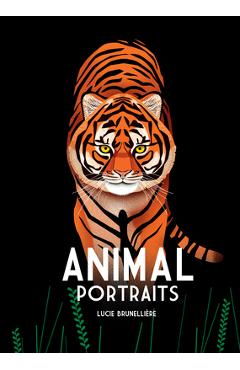 Animal Portraits - Lucie Brunellière