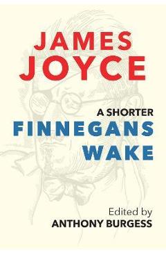 A Shorter Finnegans Wake - James Joyce