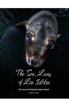 The Sea Lions of Los Islotes: The Jewel of Espíritu Santo Island - Luke Inman