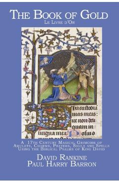 The Book of Gold: A 17th Century Magical Grimoire of Amulets, Charms, Prayers, Sigils and Spells Using the Biblical Psalms of King David - David Rankine