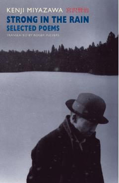 Strong in the Rain: Selected Poems - Kenji Miyazawa