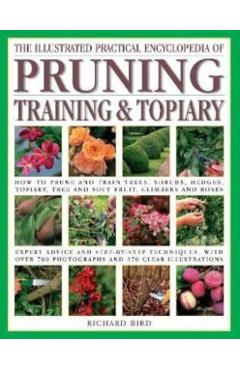 Illustrated Practical Encyclopedia of Pruning, Training and Topiary: How to Prune and Train Trees, Shrubs, Hedges, Topiary, Tree and Soft Fruit, Climb - Richard Bird
