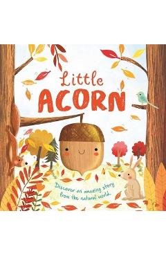 Nature Stories: Little Acorn: Padded Board Book - Igloobooks
