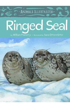 Animals Illustrated: Ringed Seal - William Flaherty