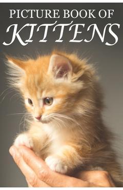 Picture book of kittens: picture book of kittens: for seniors with dementia [cute picture books] - mighty oak books
