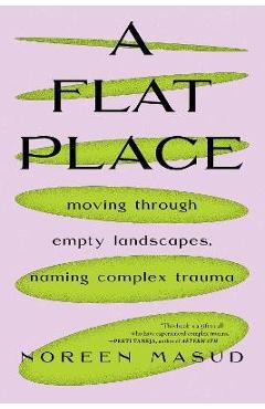 A Flat Place: Moving Through Empty Landscapes, Naming Complex Trauma - Noreen Masud