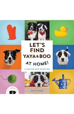 Let's Find Yaya and Boo at Home!: A Hide-And-Seek Adventure
