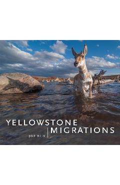 Yellowstone Migrations - Joe Riis