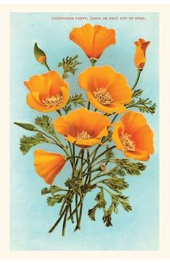 The Vintage Journal California Poppies - Found Image Press