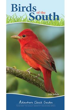Birds of the South: Your Way to Easily Identify Backyard Birds - Stan Tekiela