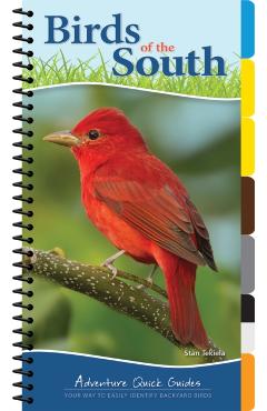 Birds of the South: Your Way to Easily Identify Backyard Birds - Stan Tekiela