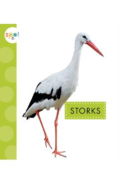 Storks - Lisa Amstutz