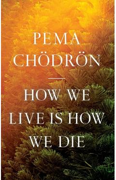 How We Live Is How We Die - Pema Chodron