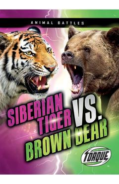 Siberian Tiger vs. Brown Bear - Nathan Sommer