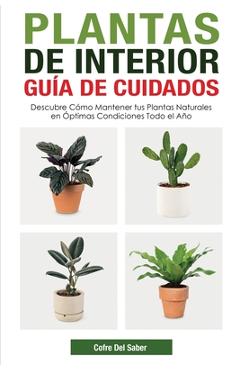 Plantas de Interior - Guía de Cuidados: Descubre Cómo Mantener tus Plantas Naturales en Óptimas Condiciones Todo el Año - Cofre Del Saber