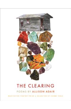 Max Ritvo Poetry Prize: Poems - Adair Allison