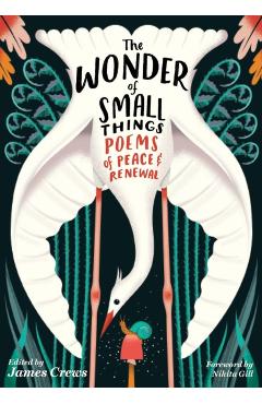 The Wonder of Small Things: Poems of Peace and Renewal - James Crews