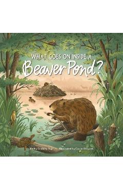 What Goes on Inside a Beaver Pond? - Becky Cushing Gop