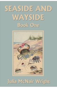 Seaside and Wayside, Book One (Yesterday's Classics) - Julia Mcnair Wright