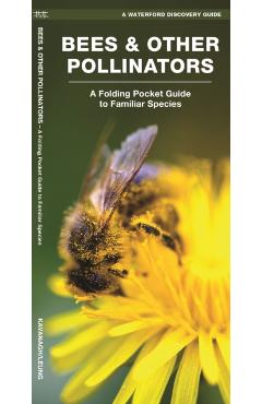 Bees & Other Pollinators: A Folding Pocket Guide to Familiar Species - James Kavanagh
