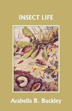 Insect Life (Yesterday\'s Classics) - Arabella B. Buckley