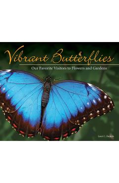 Vibrant Butterflies: Our Favorite Visitors to Flowers and Gardens - Jaret C. Daniels