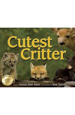Cutest Critter - Marion Dane Bauer