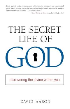 The Secret Life of God: Discovering the Divine within You - David Aaron