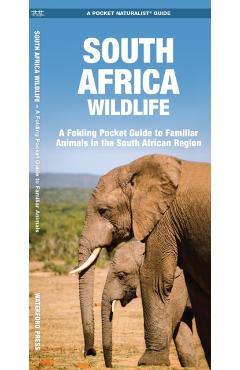 South Africa Wildlife: A Folding Pocket Guide to Familiar Animals in the South African Region - James Kavanagh