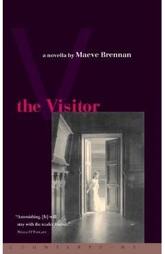 The Visitor - Maeve Brennan - Imagine 1