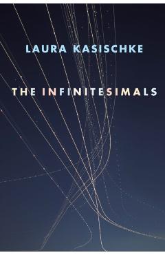 The Infinitesimals - Laura Kasischke