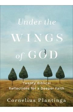 Under the Wings of God: Twenty Biblical Reflections for a Deeper Faith - Cornelius Plantinga