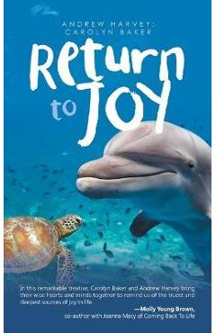 Return to Joy - Andrew Harvey - Imagine 1