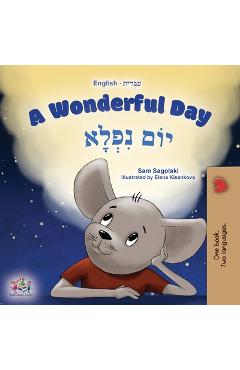 A Wonderful Day (English Hebrew Bilingual Children\'s Book) - Sam Sagolski