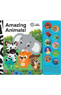 Baby Einstein: Amazing Animals! Sound Book [With Battery] - Pi Kids