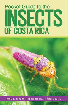 Pocket Guide to the Insects of Costa Rica - Paul Hanson