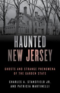 Haunted New Jersey: Ghosts and Strange Phenomena of the Garden State - Patricia A. Martinelli