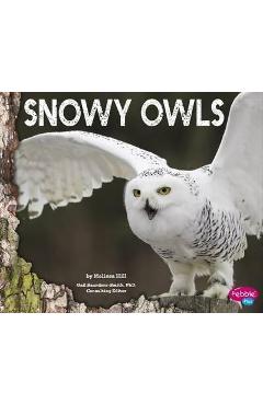 Snowy Owls - Gail Saunders-smith