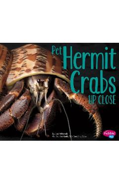 Pet Hermit Crabs Up Close - Gail Saunders-smith