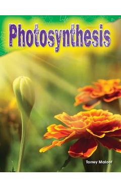 Photosynthesis - Torrey Maloof