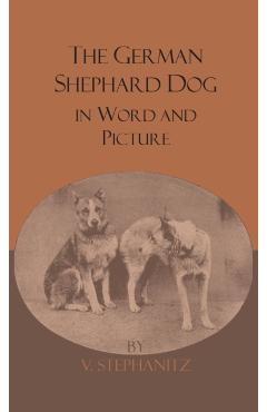 The German Shepherd Dog In Word And Picture - V. Stephanitz