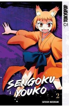 Sengoku Youko, Volume 2: Volume 2 - Satoshi Mizukami