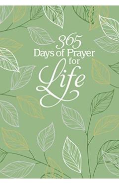 365 Days of Prayer for Life: Daily Prayer Devotional - Broadstreet Publishing Group Llc