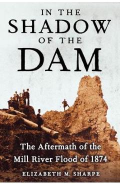 In the Shadow of the Dam: The Aftermath of the Mill River Flood of 1874 - Elizabeth M. Sharpe