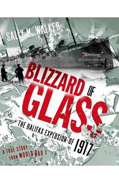 Blizzard of Glass: The Halifax Explosion of 1917 - Sally M. Walker
