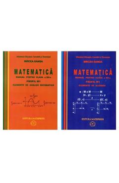 Manual matematica Clasa 12 M1 – 2 Volume 2007 – Mircea Ganga 2007