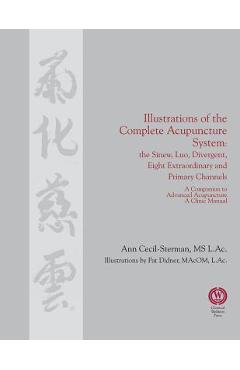 Illustrations of the Complete Acupuncture System: The Sinew, Luo, Divergent, Eight Extraordinary, Primary Channels and all their Branches - Ann Cecil-sterman