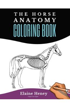 Horse Anatomy Coloring Book For Adults - Self Assessment Equine Coloring Workbook: Test Your Knowledge - For Equestrians & Veterinary Students - Elaine Heney